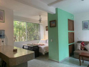 Studio with swimming pool at 12 m height over jungle